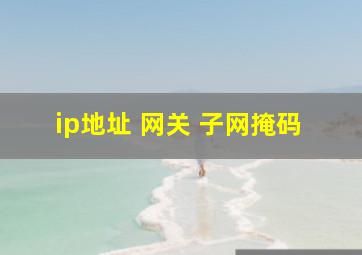 ip地址 网关 子网掩码